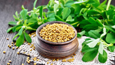 fenugreek