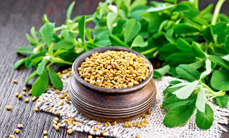 fenugreek